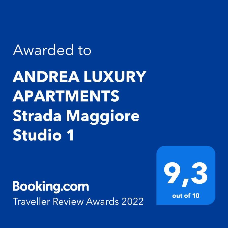 Andrea Luxury Apartments Strada Maggiore Studio 1 Bolonia Zewnętrze zdjęcie